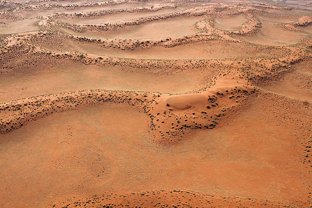 Namib Desert